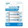 everActive C size (LR14) 4500mAh (pair)
