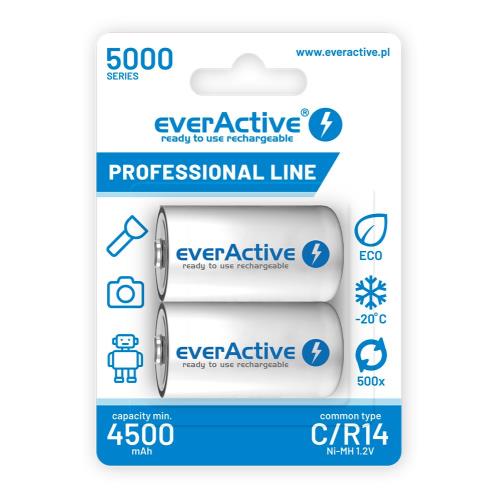 everActive C size (LR14) 4500mAh (pair) Product Image